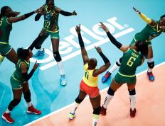 江南体育- lolscout 